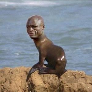 Meet your Posher, Fred